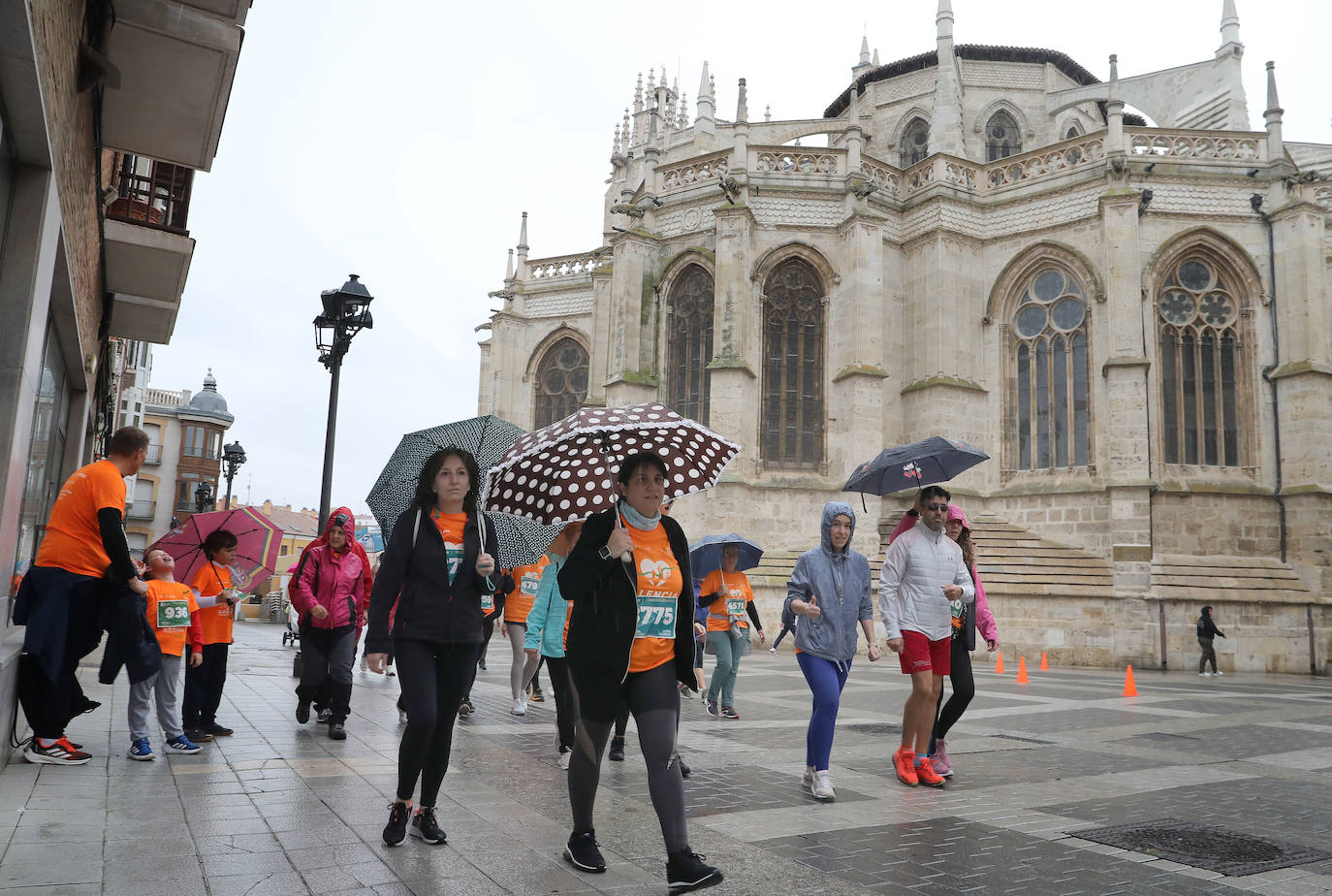 Palencia se vuelca con la Asociación Contra el Cáncer