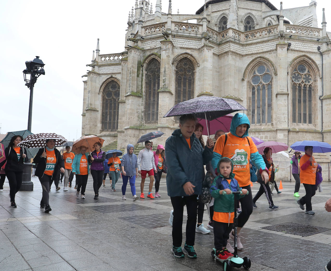 Palencia se vuelca con la Asociación Contra el Cáncer