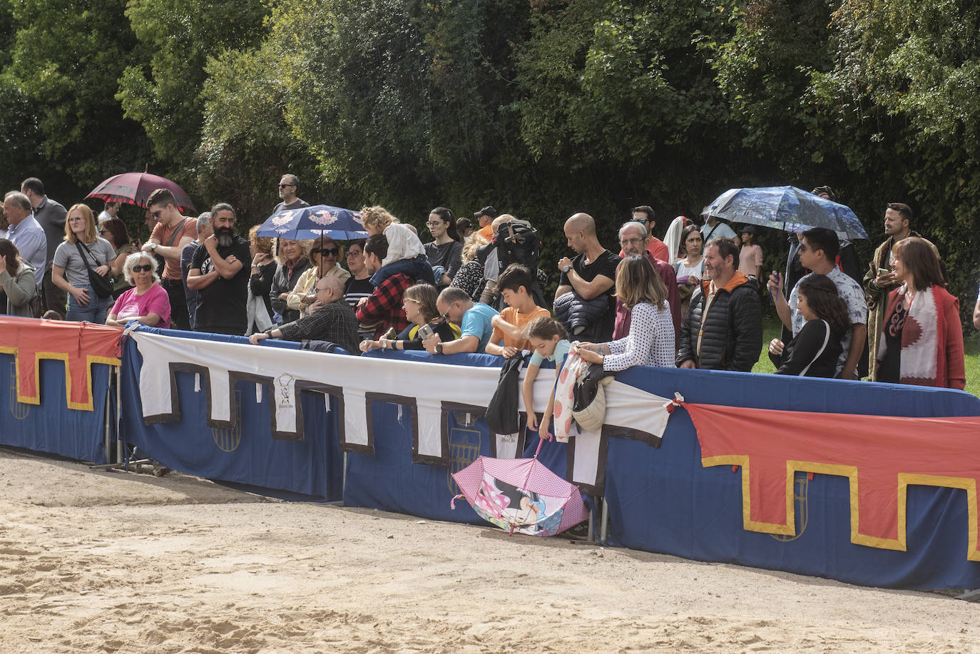 Fotografías del torneo medieval a los pies del Alcázar