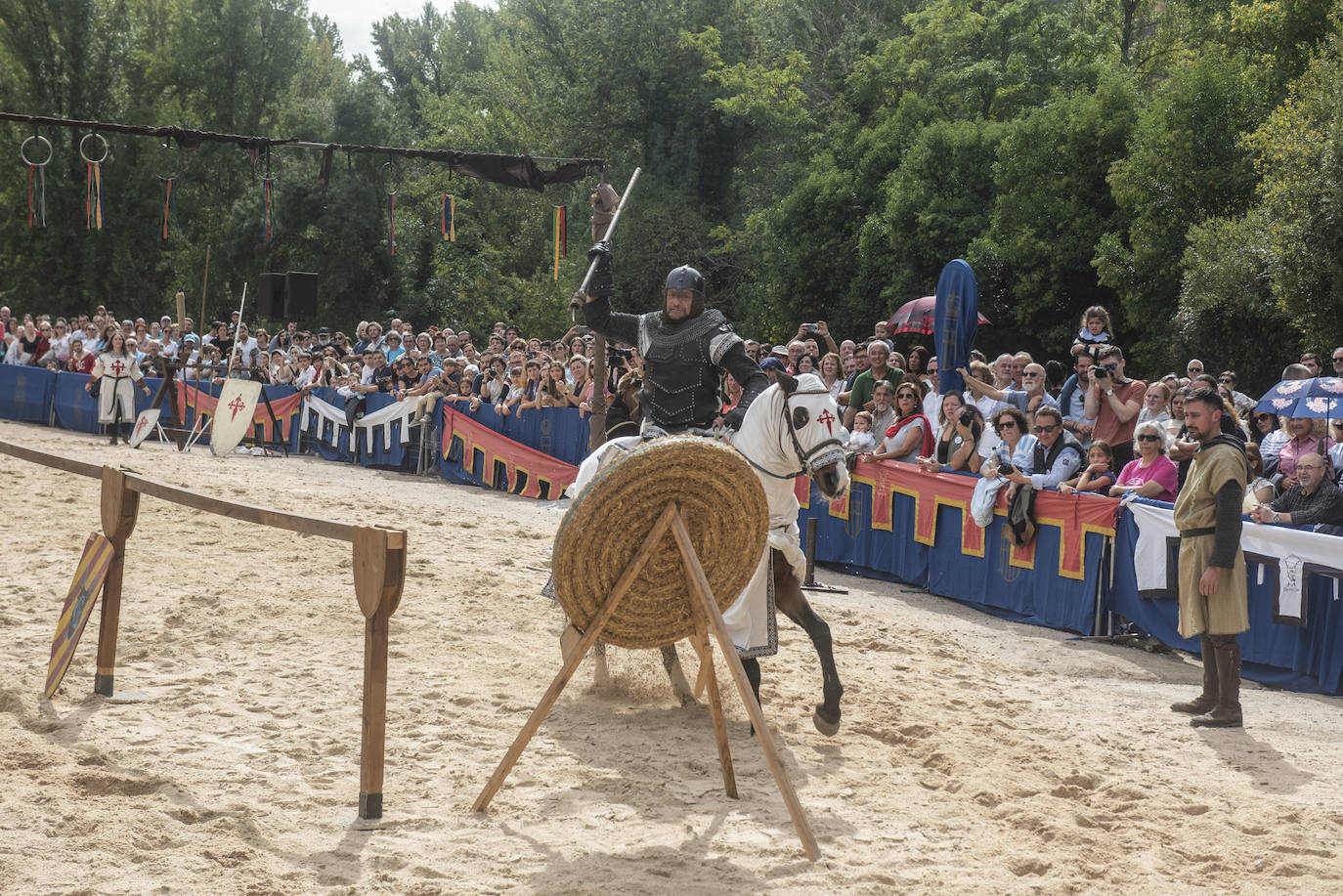 Fotografías del torneo medieval a los pies del Alcázar