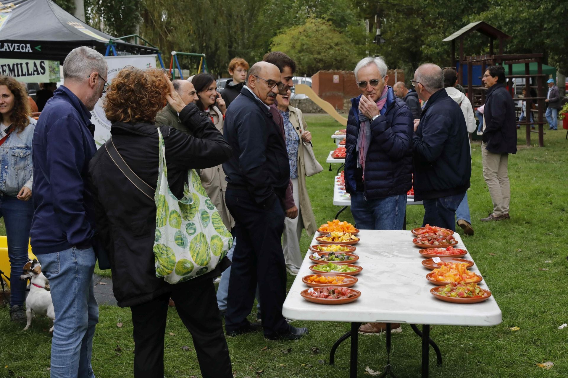 Feria del Tomate en Piñel de Abajo