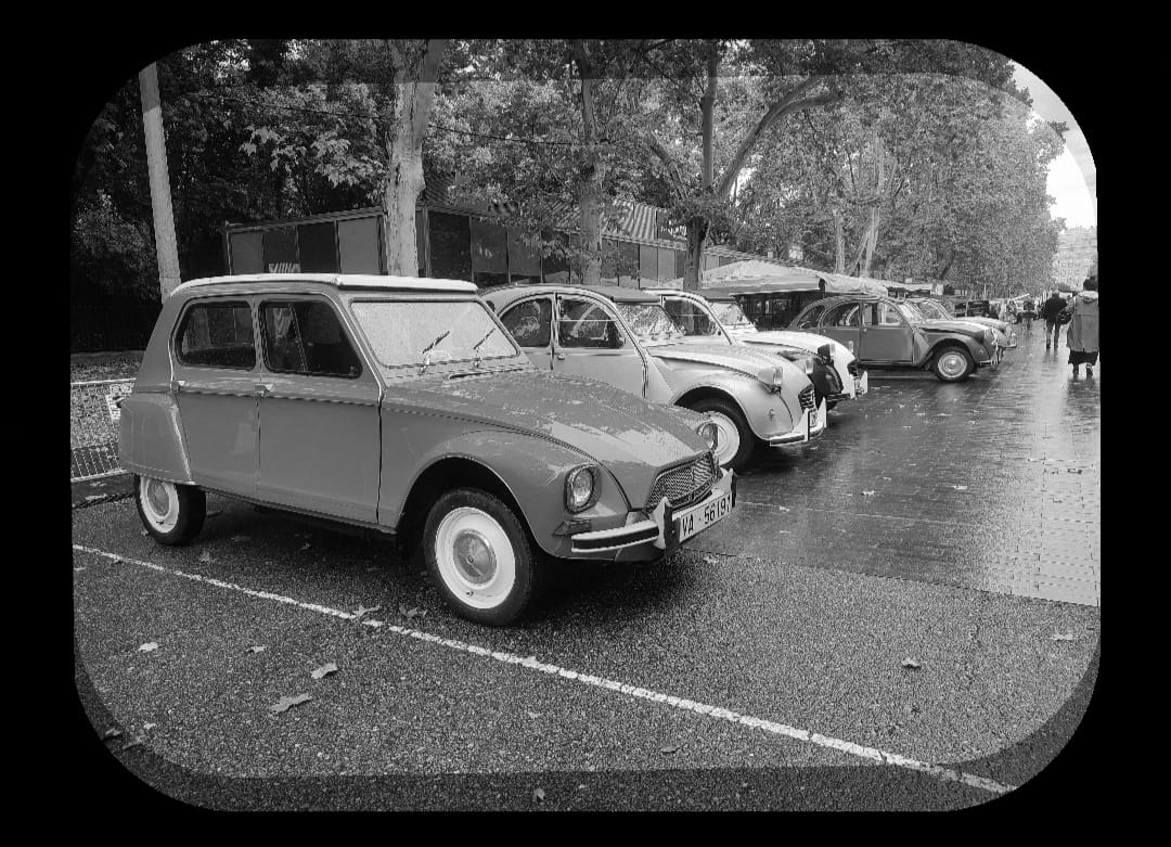 El Valladolid Motor Vintage, visto por el público