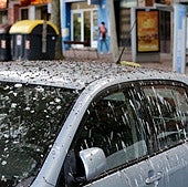 Bandadas de estorninos obligan a limpiar a diario los lugares que ensucian