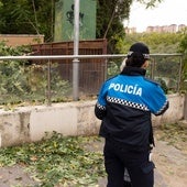 Denuncian el destrozo de una colonia felina durante unos trabajos de desbroce en Valladolid