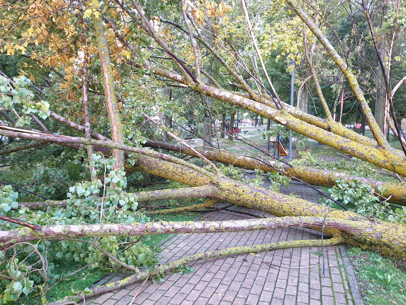 Cerrado el parque infantil de Aguilar de Campoo
