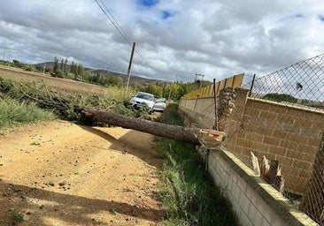 Las rachas de viento obligan a los bomberos de Palencia a efectuar 18 salidas