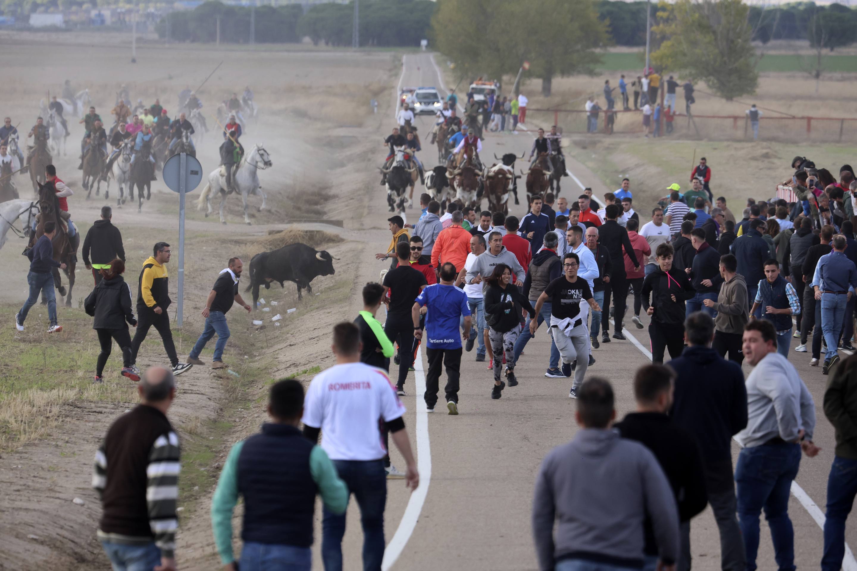 El último encierro en Olmedo, en imágenes