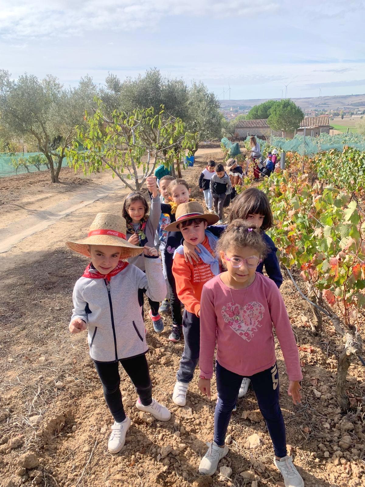 Baltanás acerca la jornada &quot;De Lagares&quot; a los alumnos del Colegio &quot;San Pedro&quot;