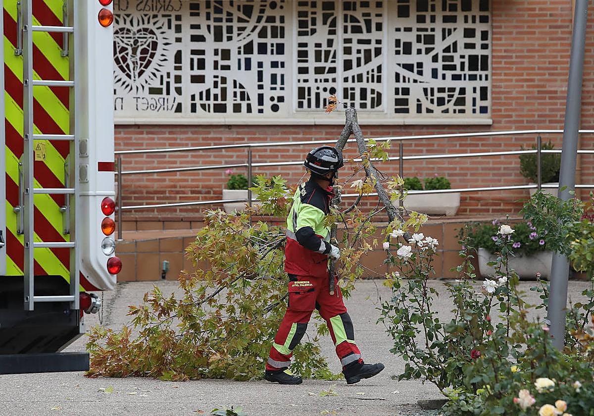 Un bombero retira una rama caída este pasado miércoles en la capital palentina.