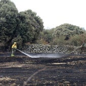 Los incendios forestales arrasan en Segovia el triple de hectáreas que en 2023