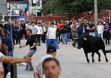 El Toro de la Vendimia reúne a miles de aficionados taurinos