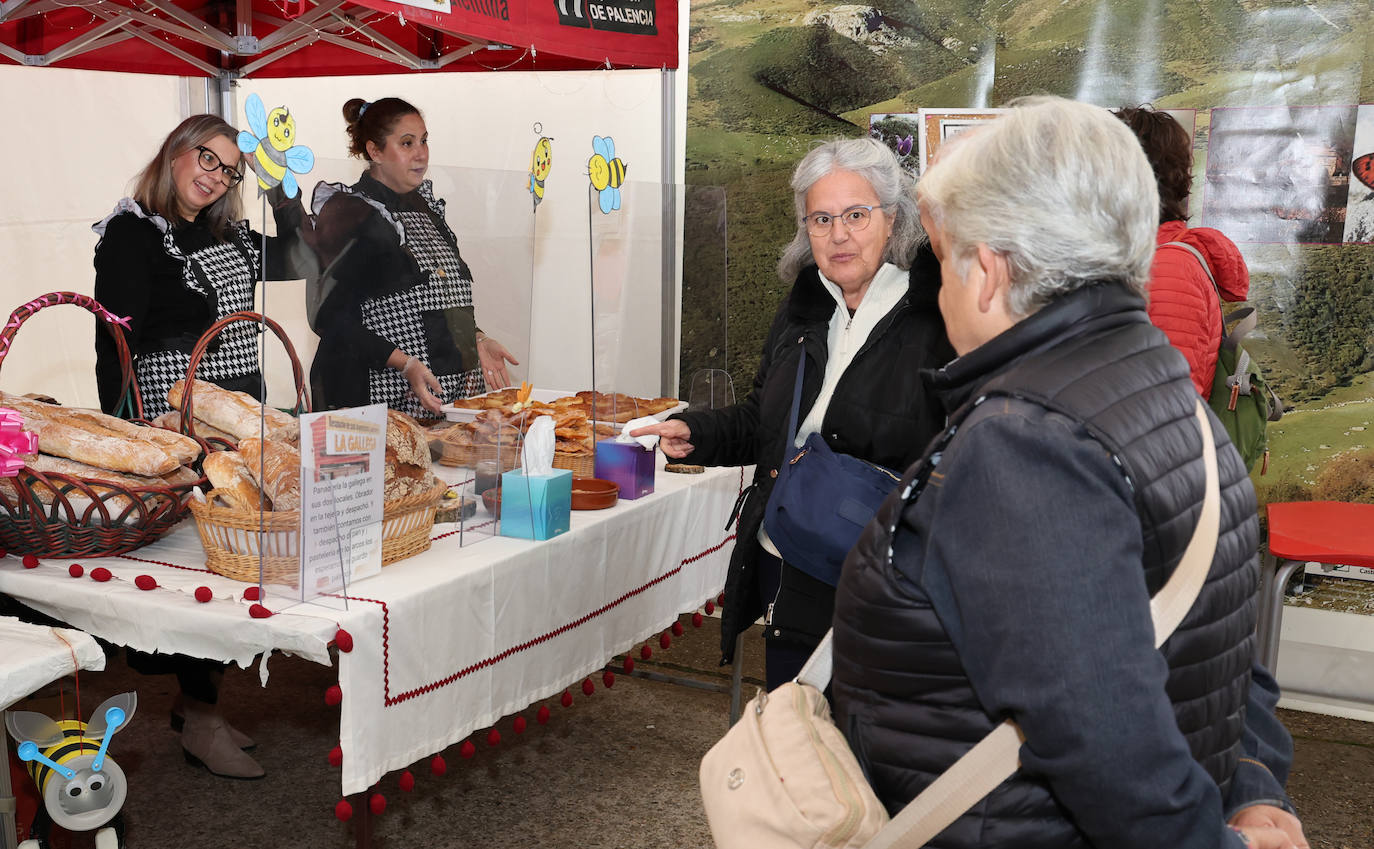 Así ha sido la tercera edición de la Feria de la Miel de Castrejón