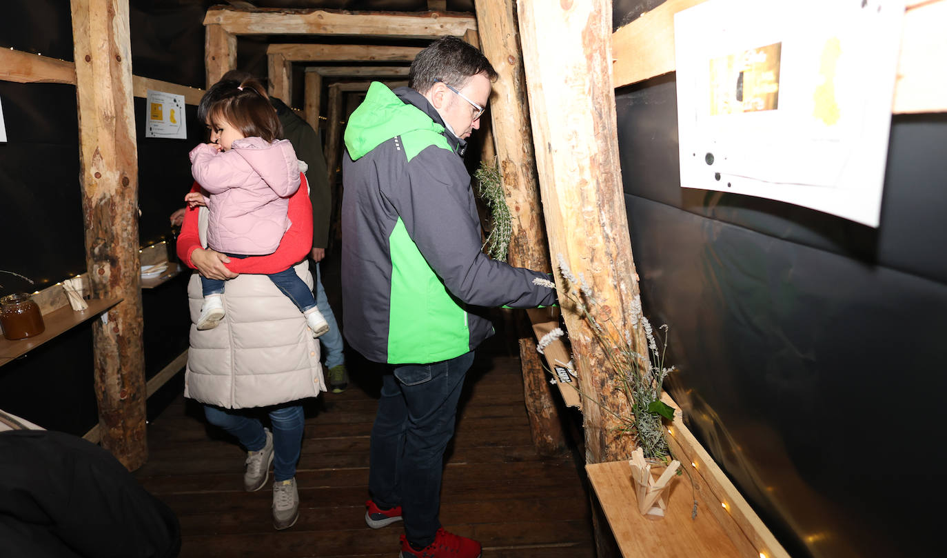 Así ha sido la tercera edición de la Feria de la Miel de Castrejón