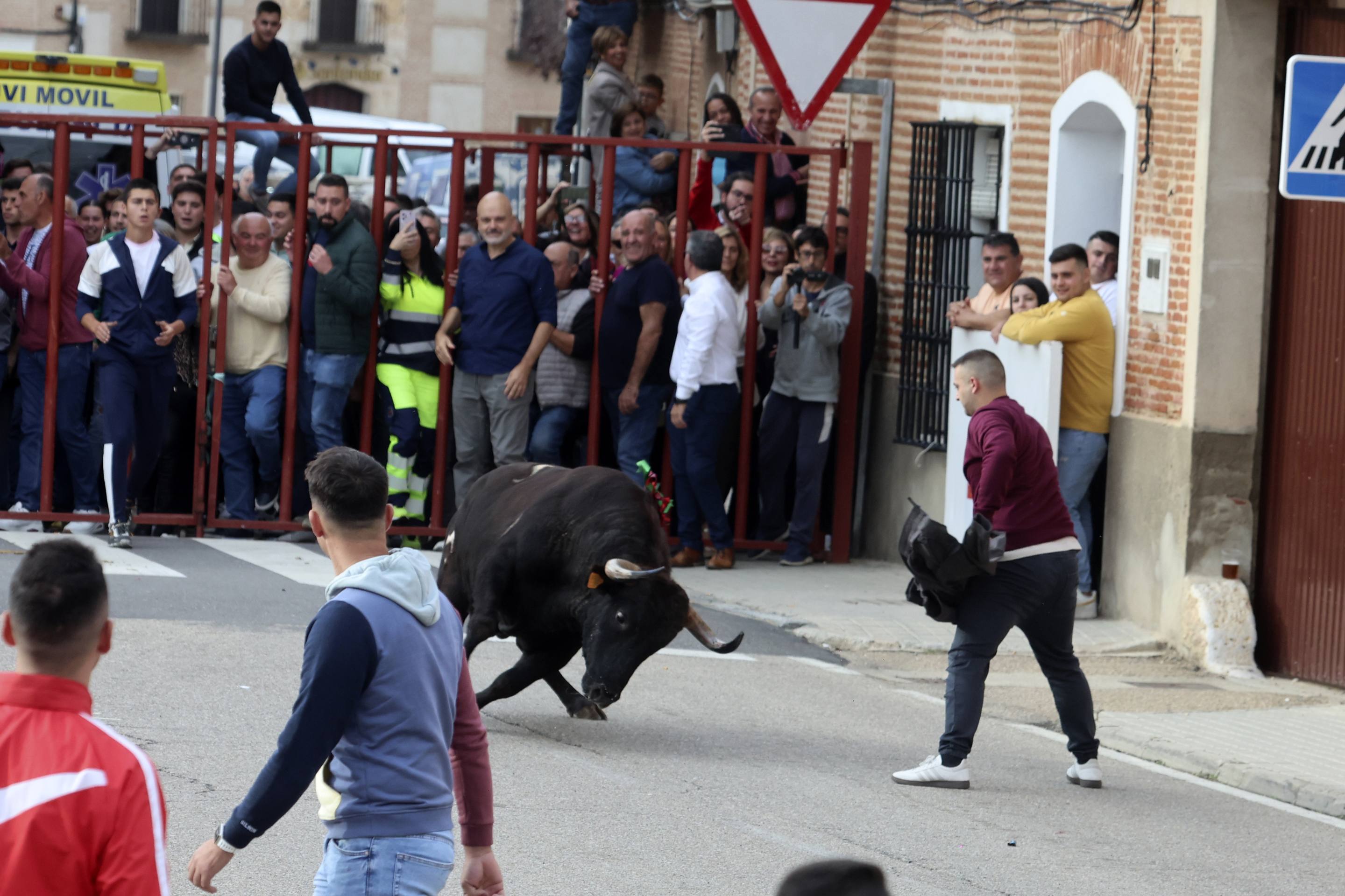 El Toro de la Vendimia de Rueda, en imágenes