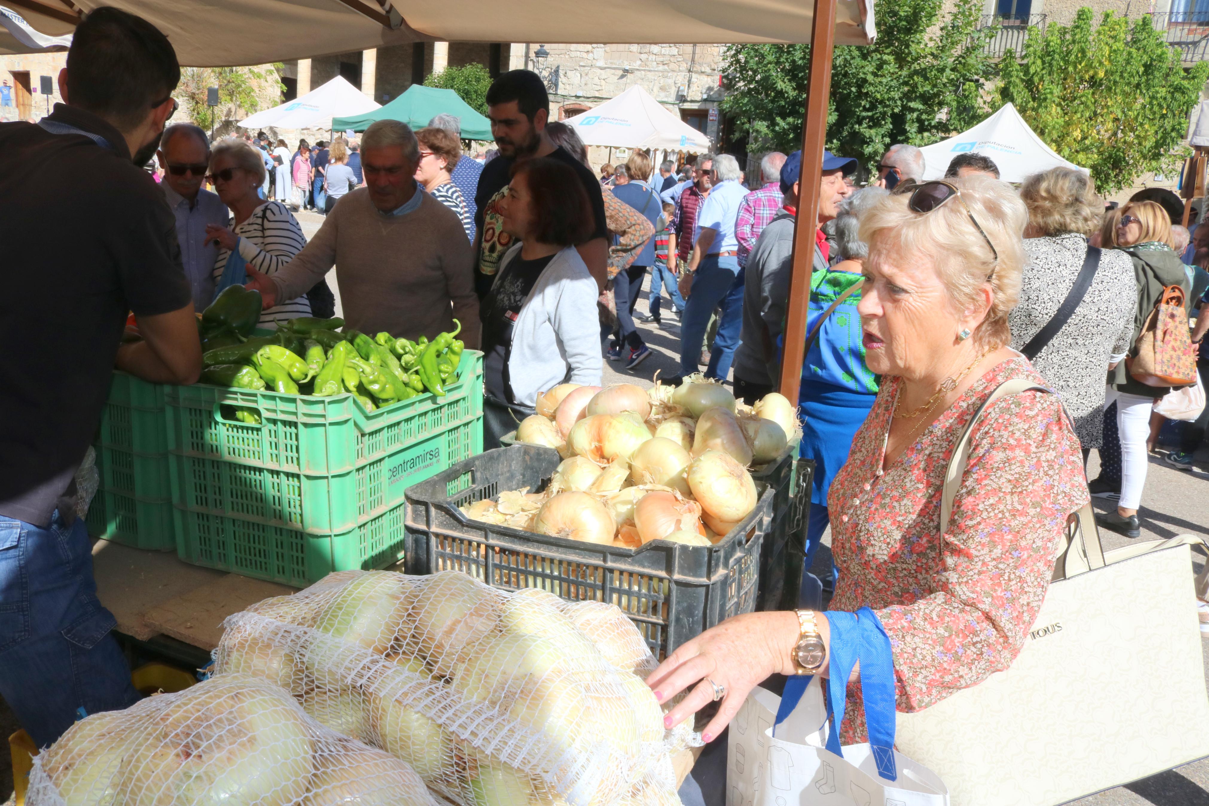 XIX Feria de la Cebolla Horcal en Palenzuela