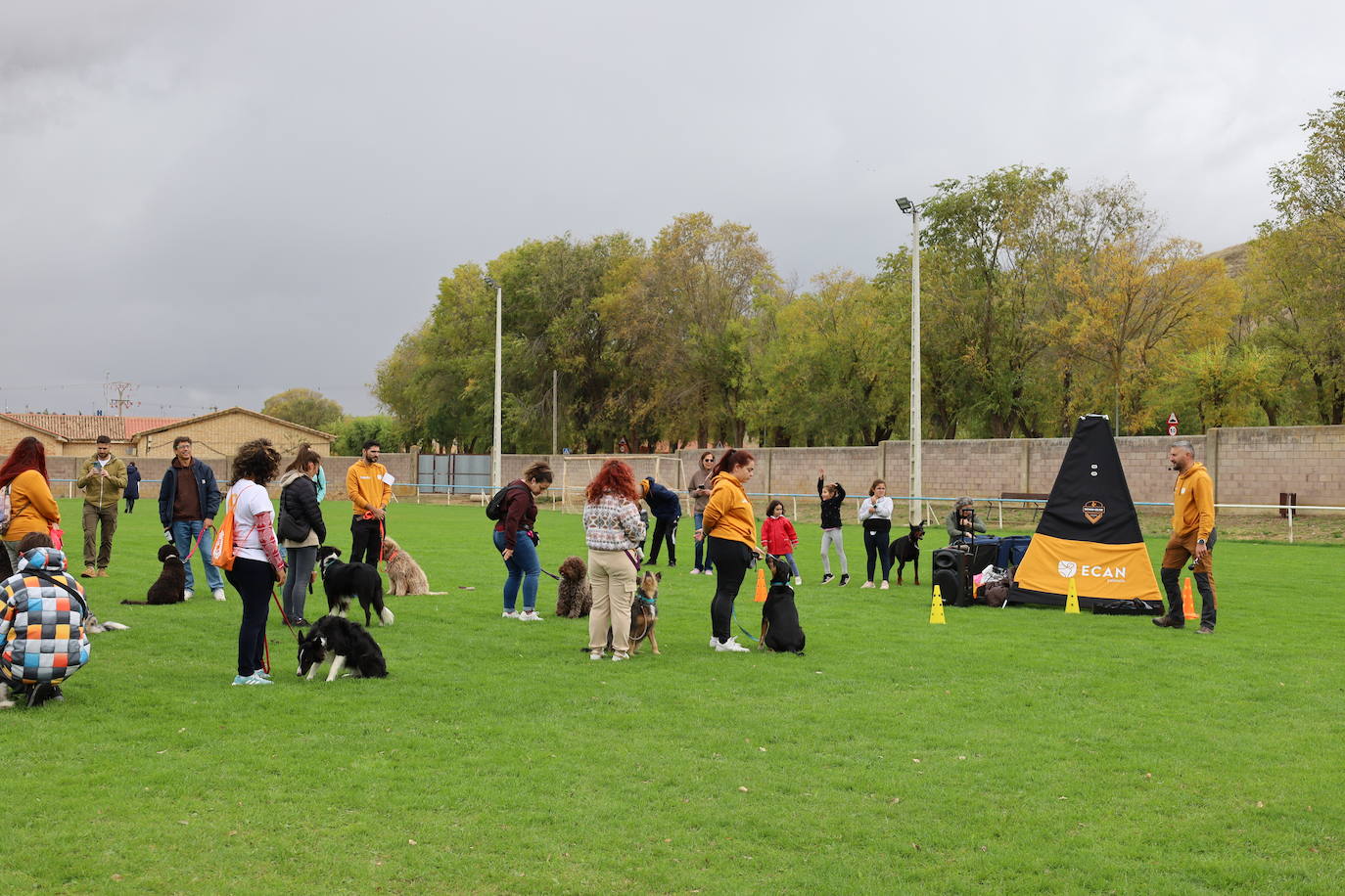 Concurso de mastines y perros de agua en Monzón