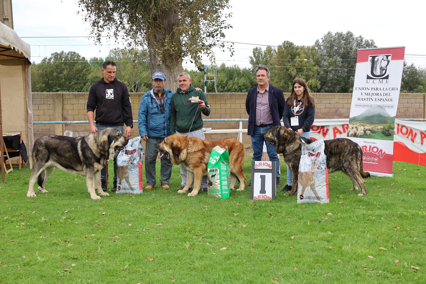 Concurso de mastines y perros de agua en Monzón