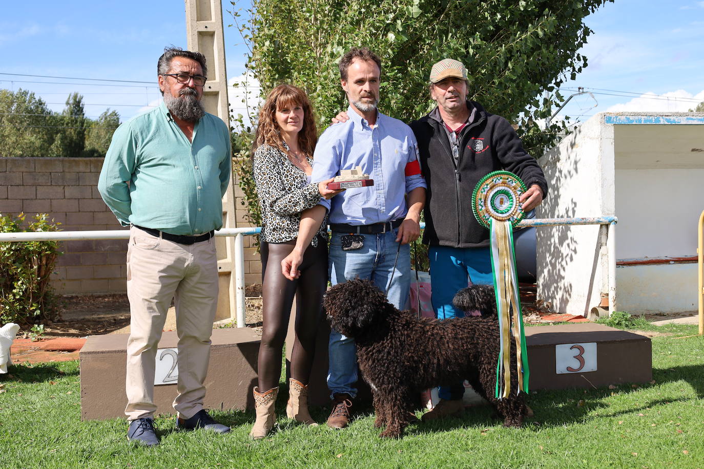 Concurso de mastines y perros de agua en Monzón