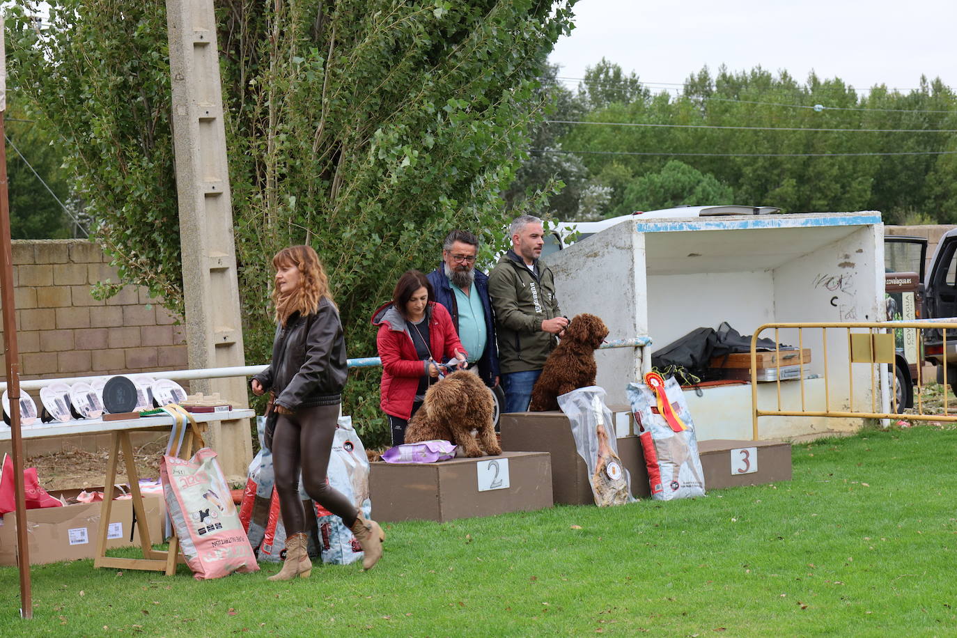 Concurso de mastines y perros de agua en Monzón