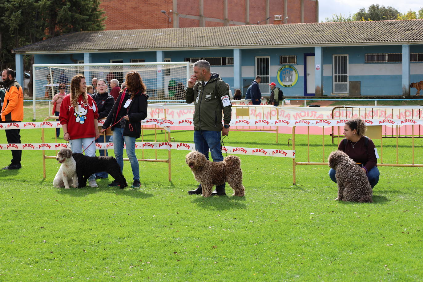 Concurso de mastines y perros de agua en Monzón