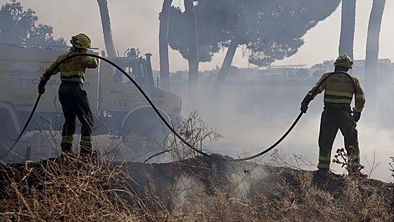 Los medios del Gobierno intervinieron en 195 incendios en la campaña de verano
