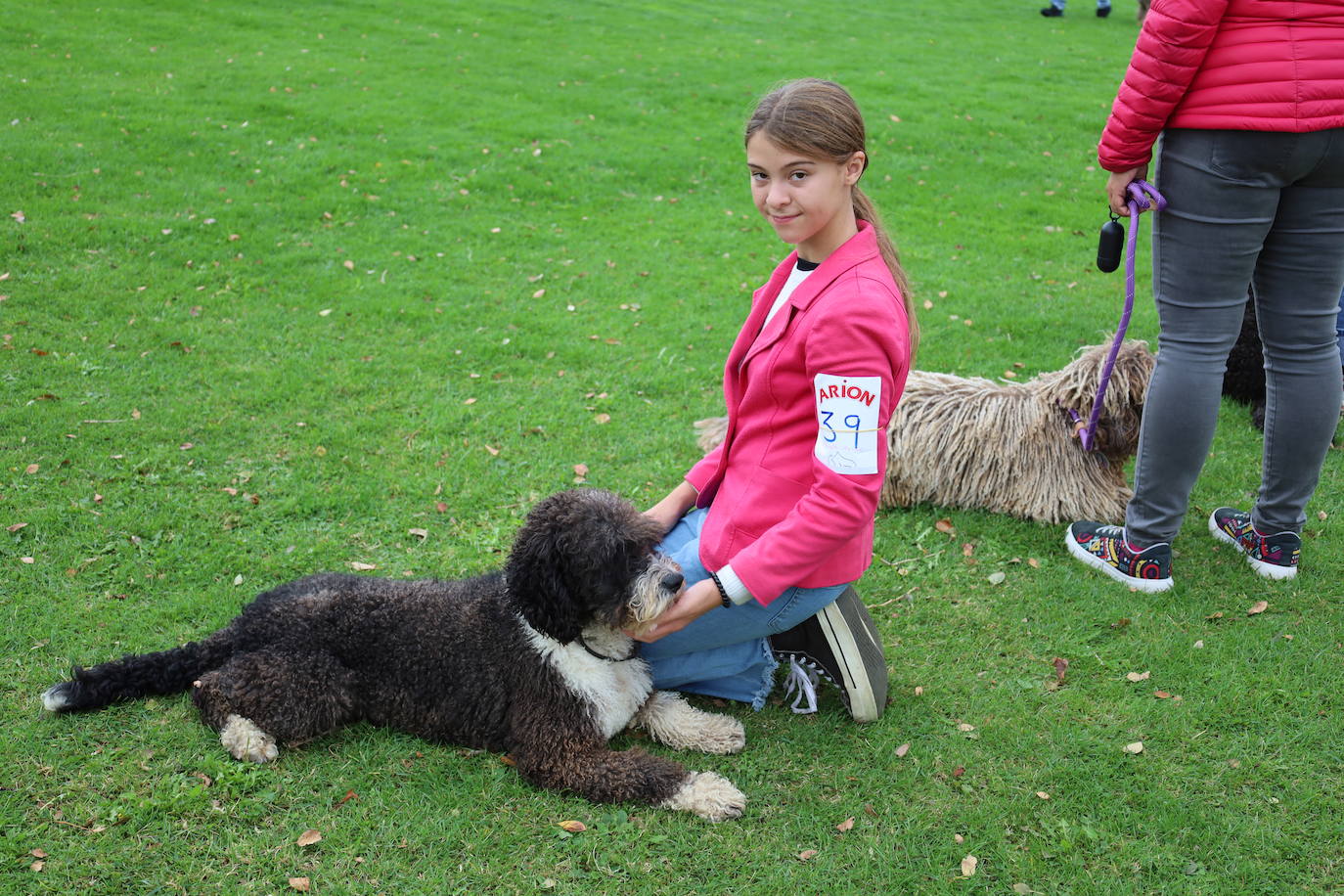 Concurso de mastines y perros de agua en Monzón