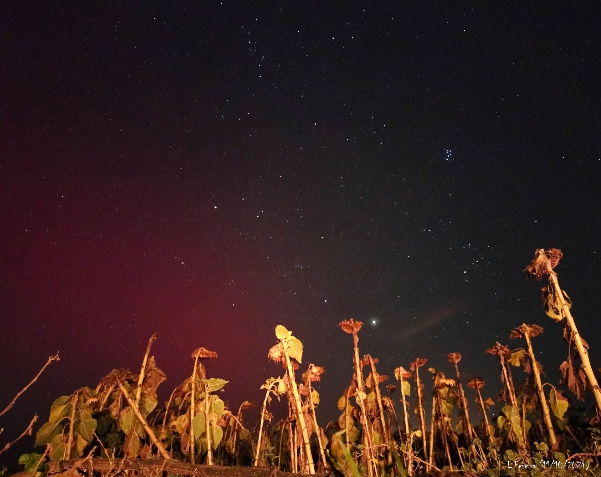 Frómista también fue testigo de la aurora boreal