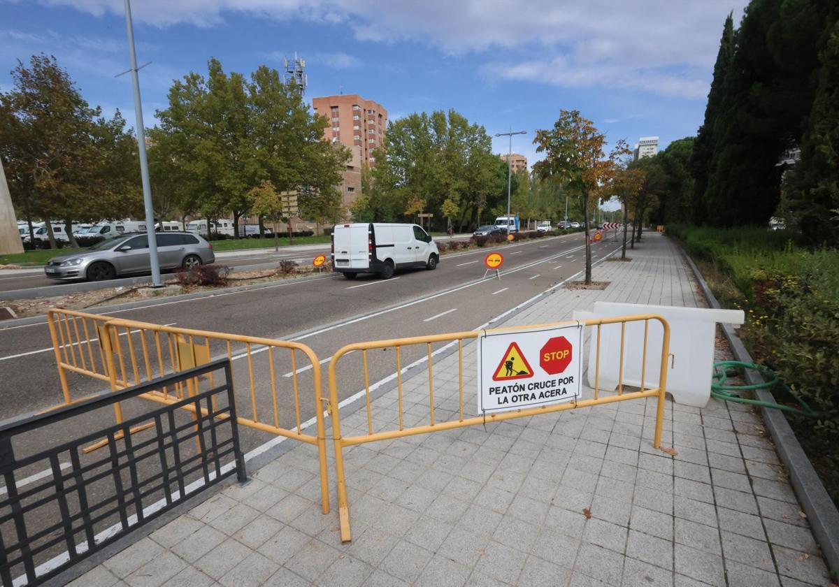 Obras en la avenida de Salamanca.