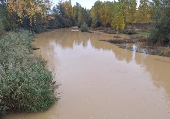 El río Cea desbordado a su paso por Melgar de Arriba.