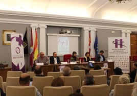 Celebración del acto oficial de la Red de Municipios de Valladolid en el Salón de Plenos de Medina del Campo