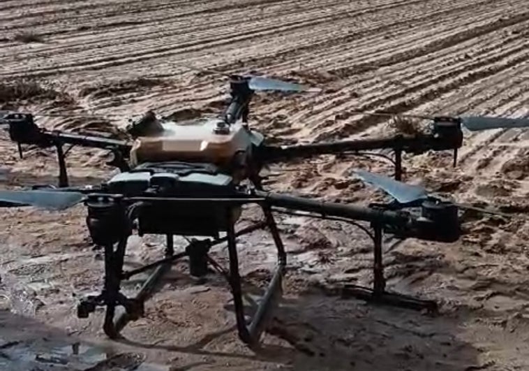 Tratamiento de cebollas mediante dron.