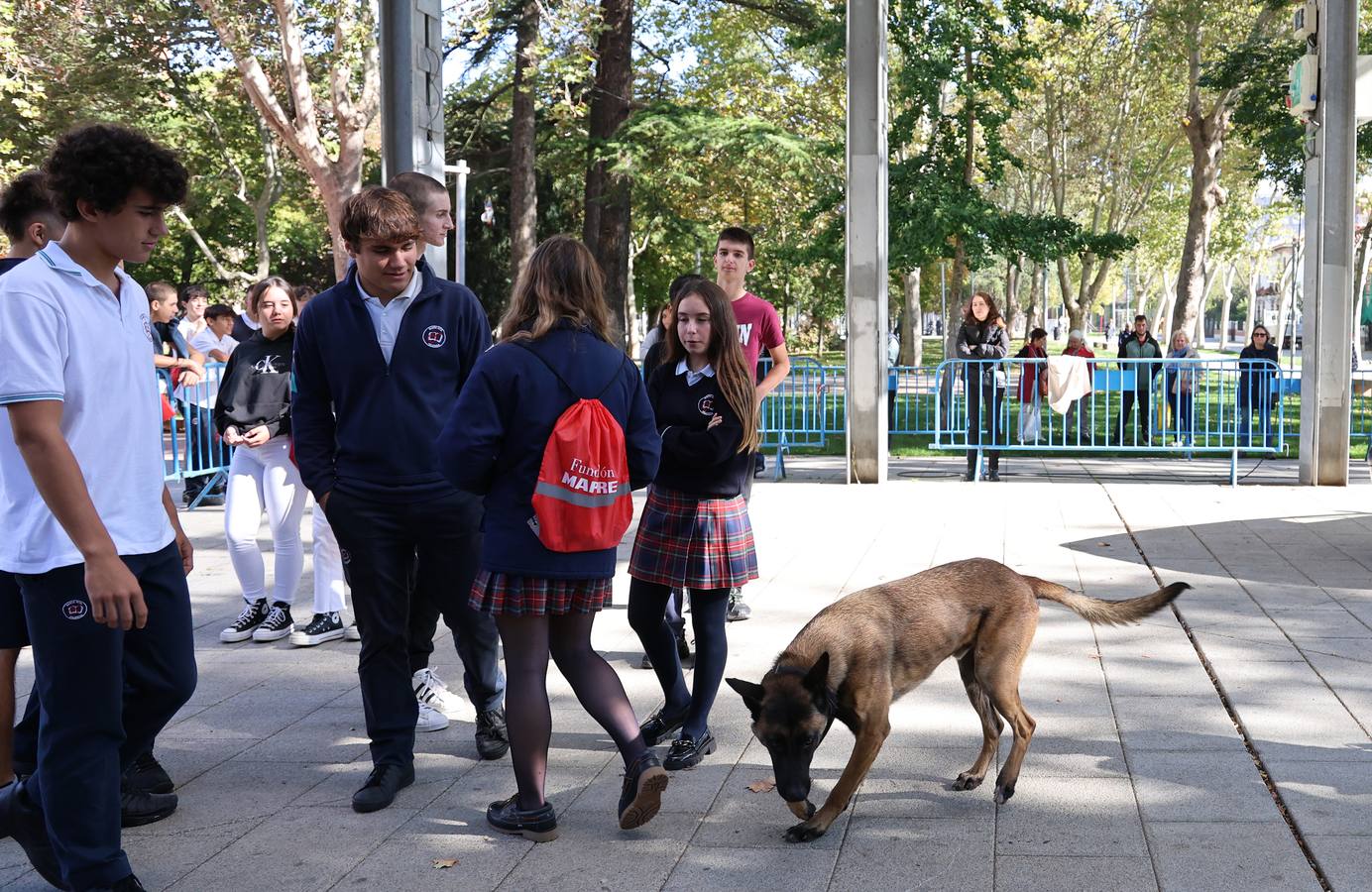 Alumnos de Secundaria aprenden las normas de circulación en Palencia