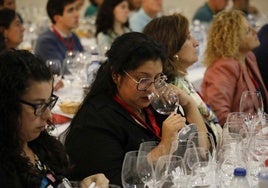 Jornadas de Sumillería de Castilla y León en el Museo del Vino en Peñafiel