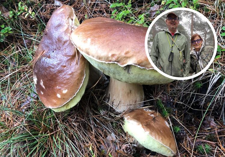 La boletus encontrada y la pareja de cántabros que tuvo la suerte de cruzarse en su camino.