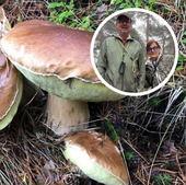 Encuentran en Soria un «fenómeno de la naturaleza»: una boletus edulis de 2,4 kilos