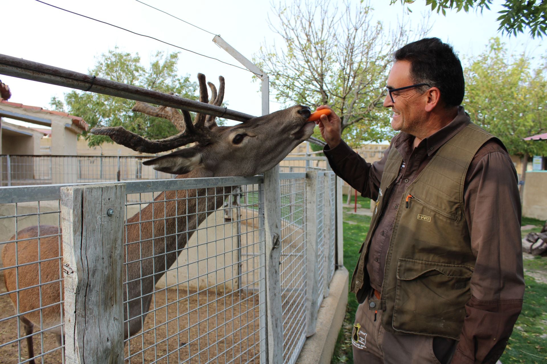 El Zoológico de Fresno el Viejo, en imágenes