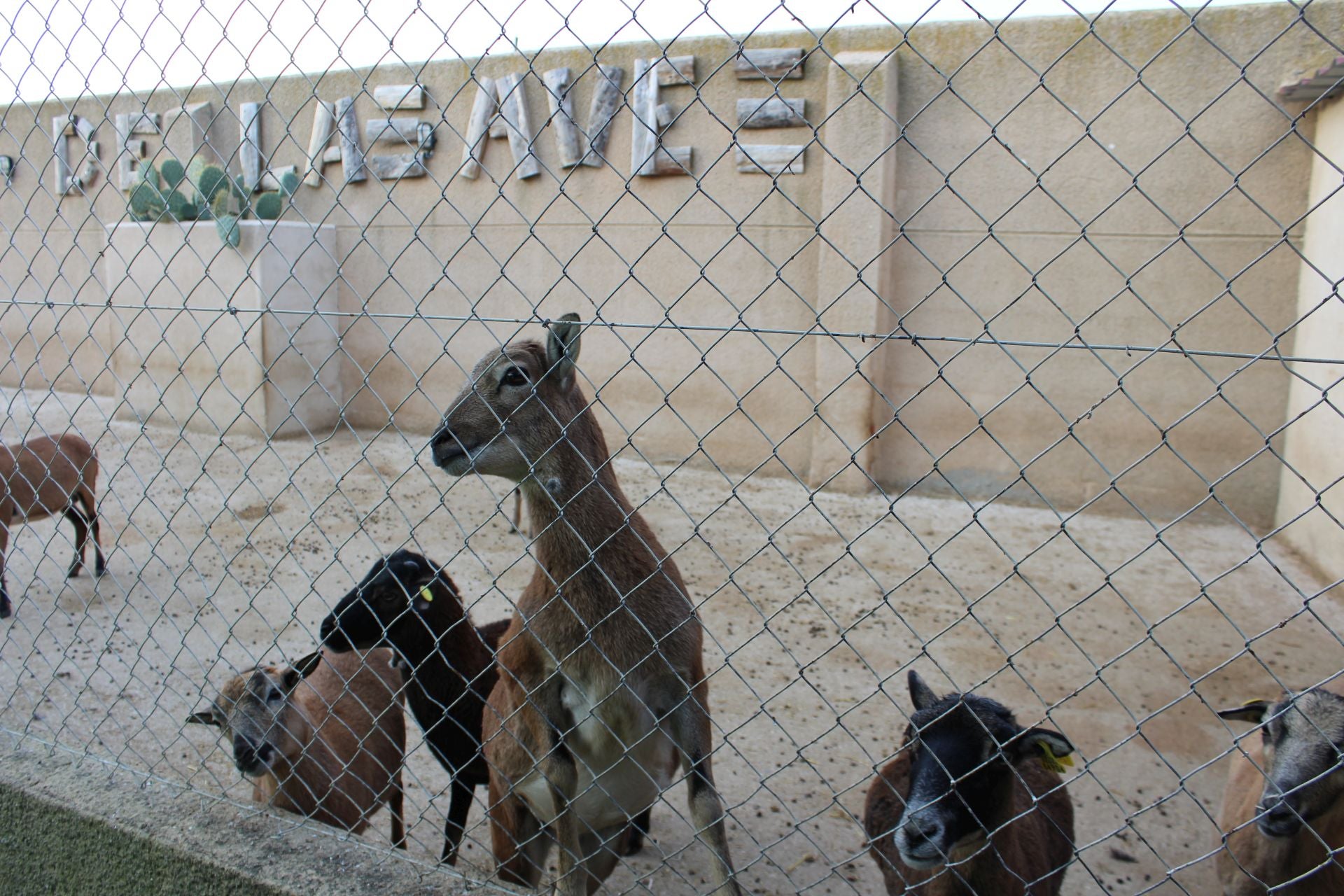 El Zoológico de Fresno el Viejo, en imágenes