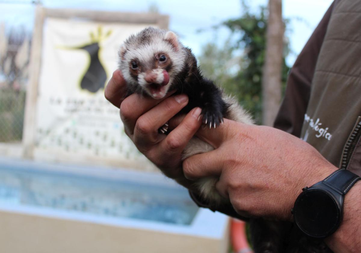 El Zoológico de Fresno el Viejo, en imágenes