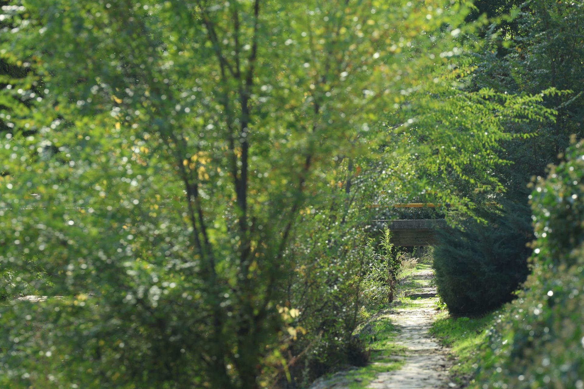 Un paseo en imágenes por el Paseo del Cauce