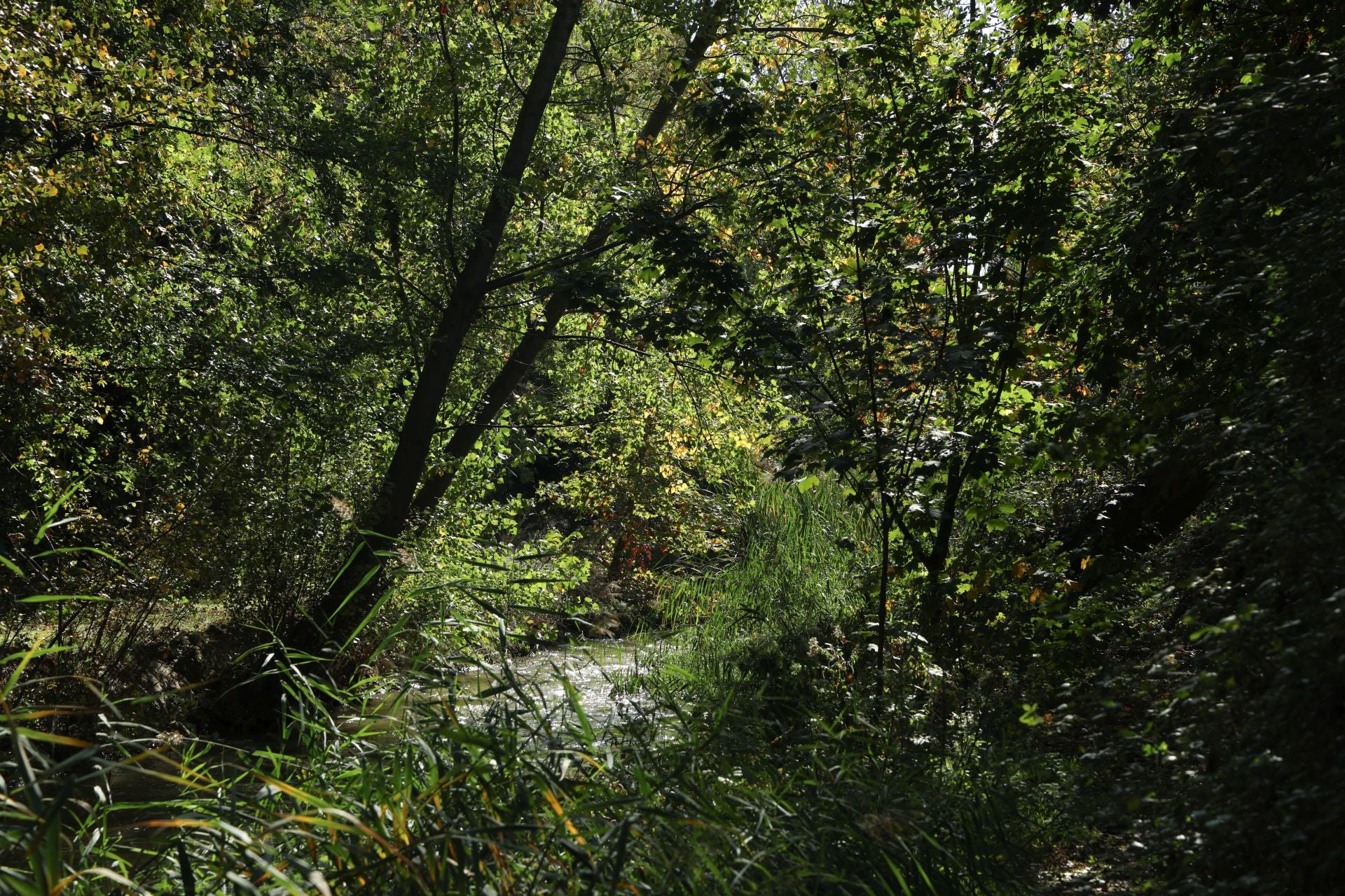 Un paseo en imágenes por el Paseo del Cauce