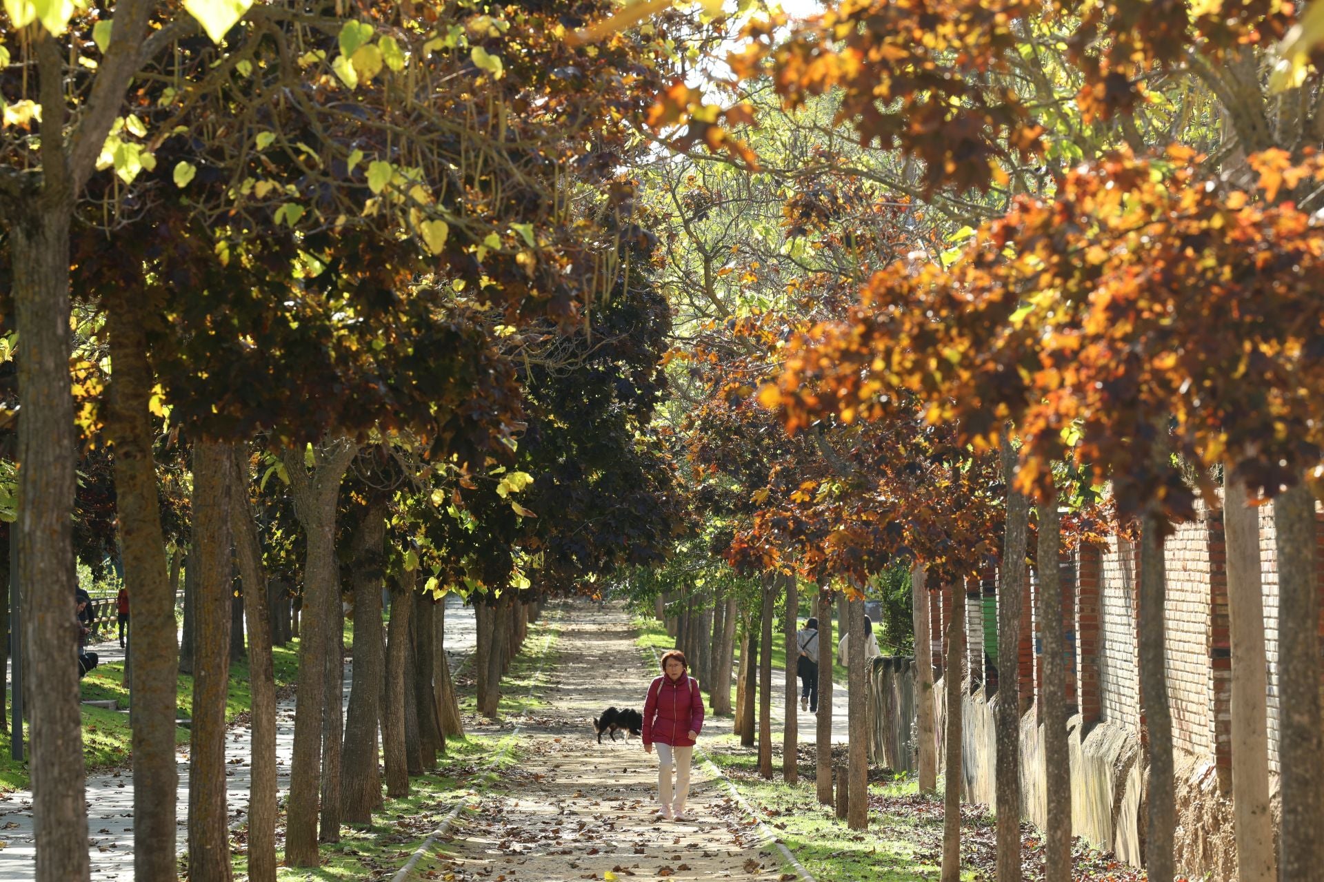 Un paseo en imágenes por el Paseo del Cauce