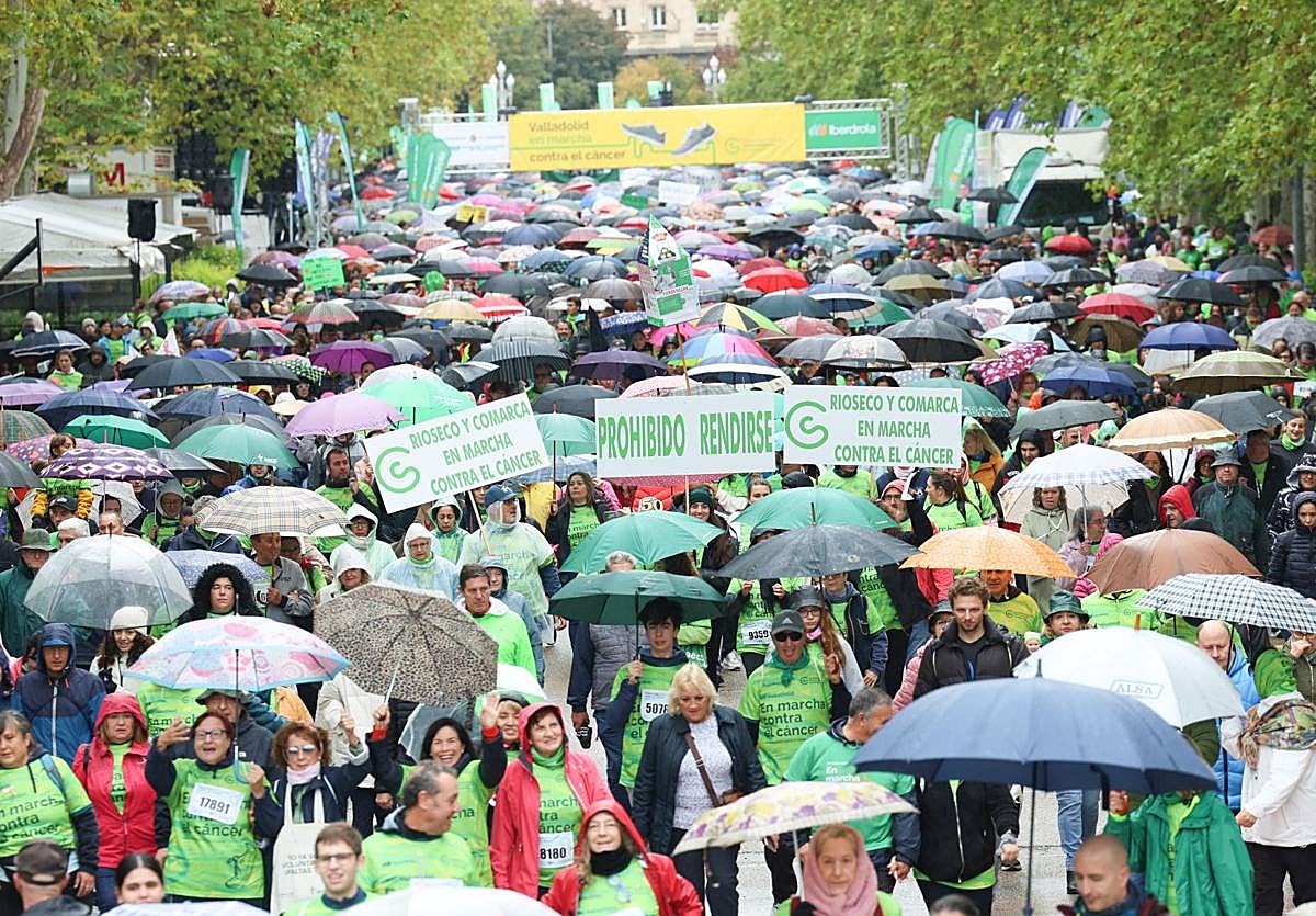 Más de 51.000 personas se mojan en Valladolid en la lucha contra el cáncer