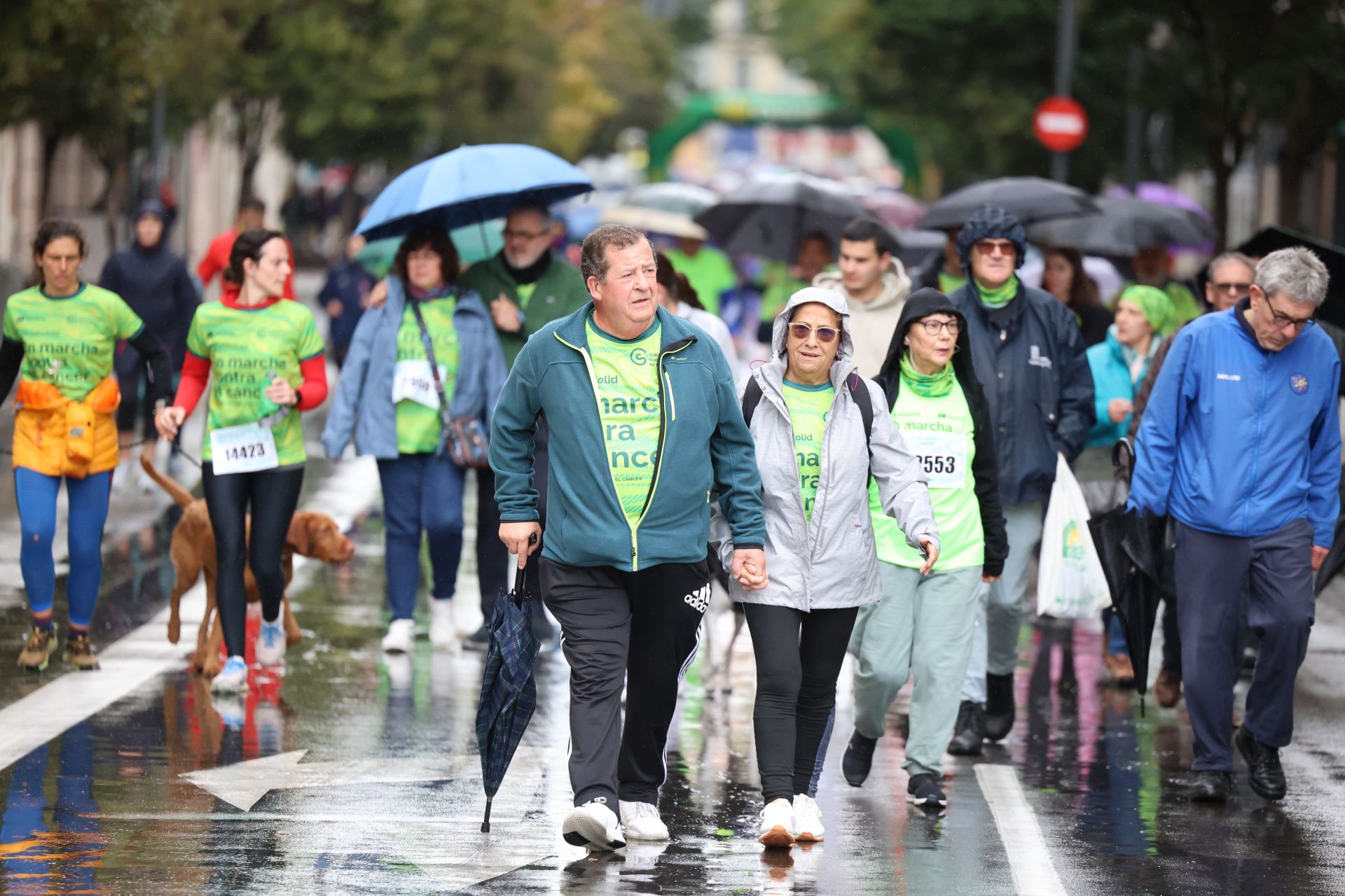 Todas las imágenes de la XIII Marcha contra el cáncer en Valladolid (1/3)