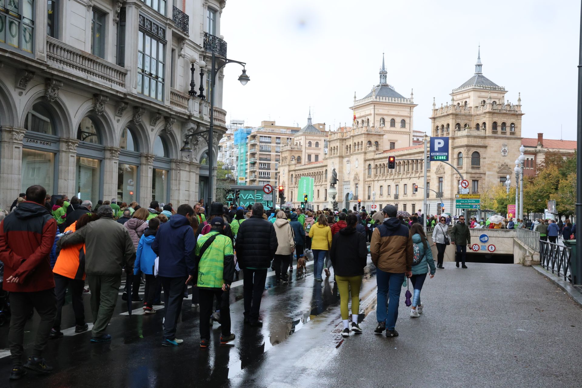 Todas las imágenes de la XIII Marcha contra el cáncer en Valladolid (1/3)