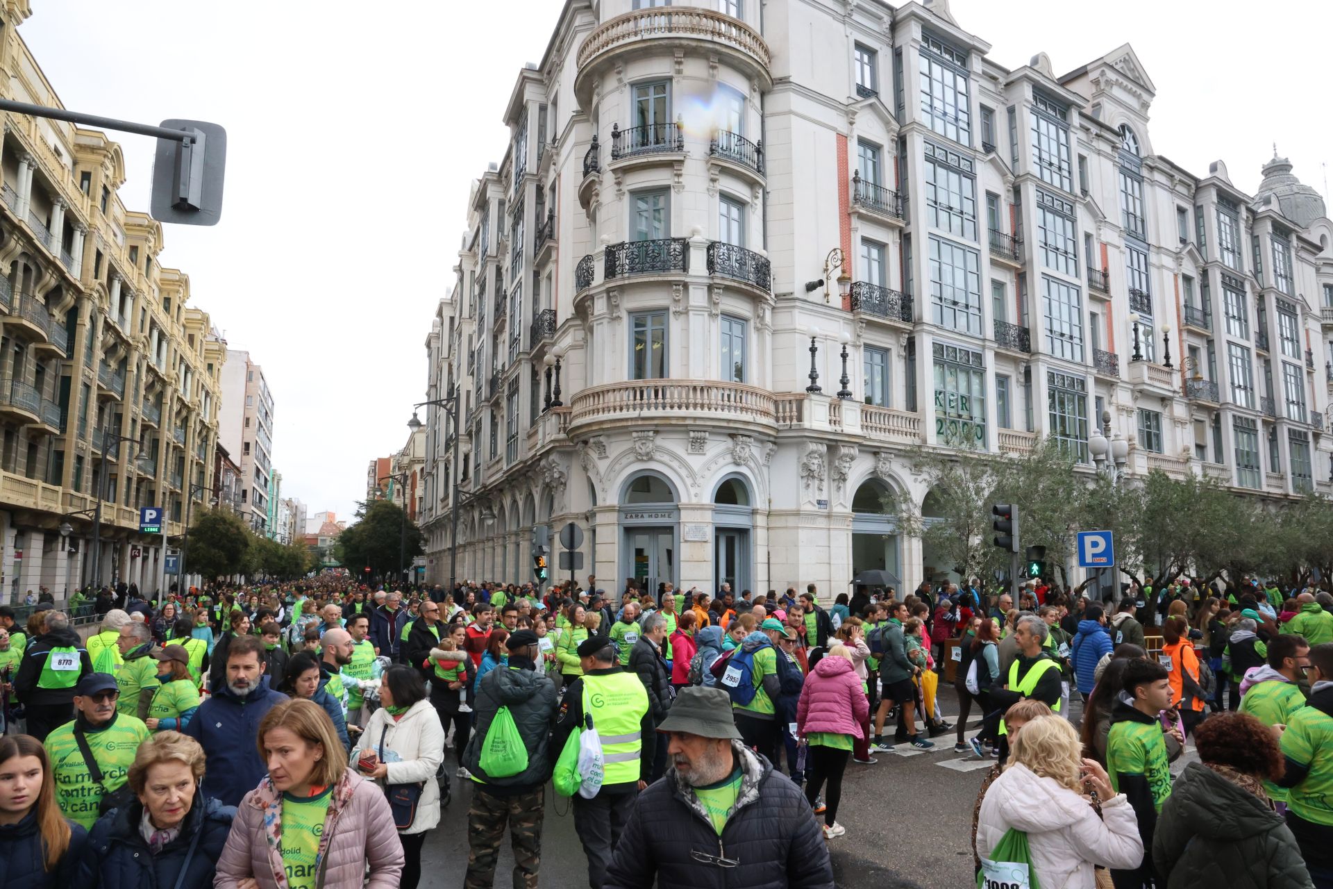 Todas las imágenes de la XIII Marcha contra el cáncer en Valladolid (1/3)