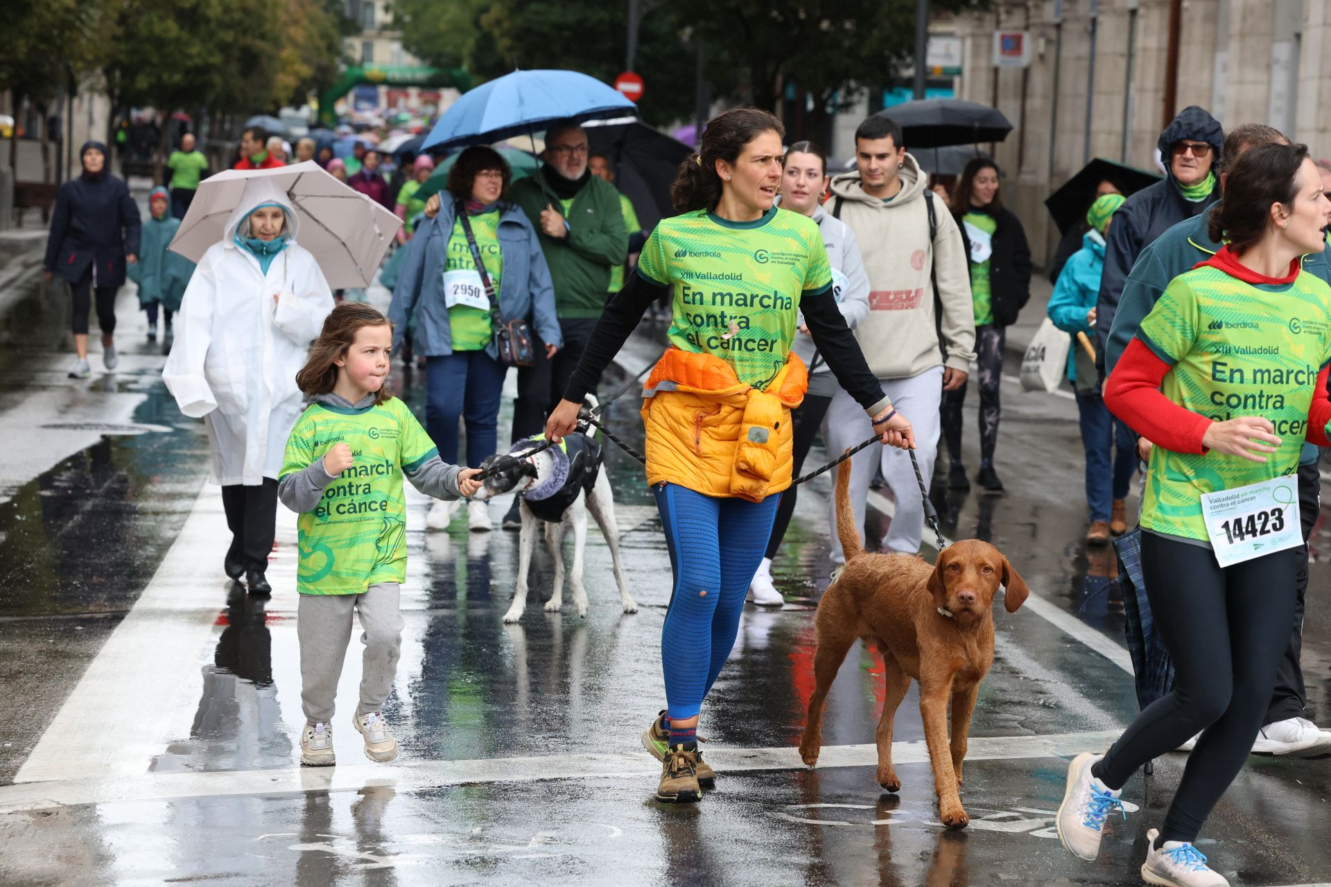 Todas las imágenes de la XIII Marcha contra el cáncer en Valladolid (2/3)