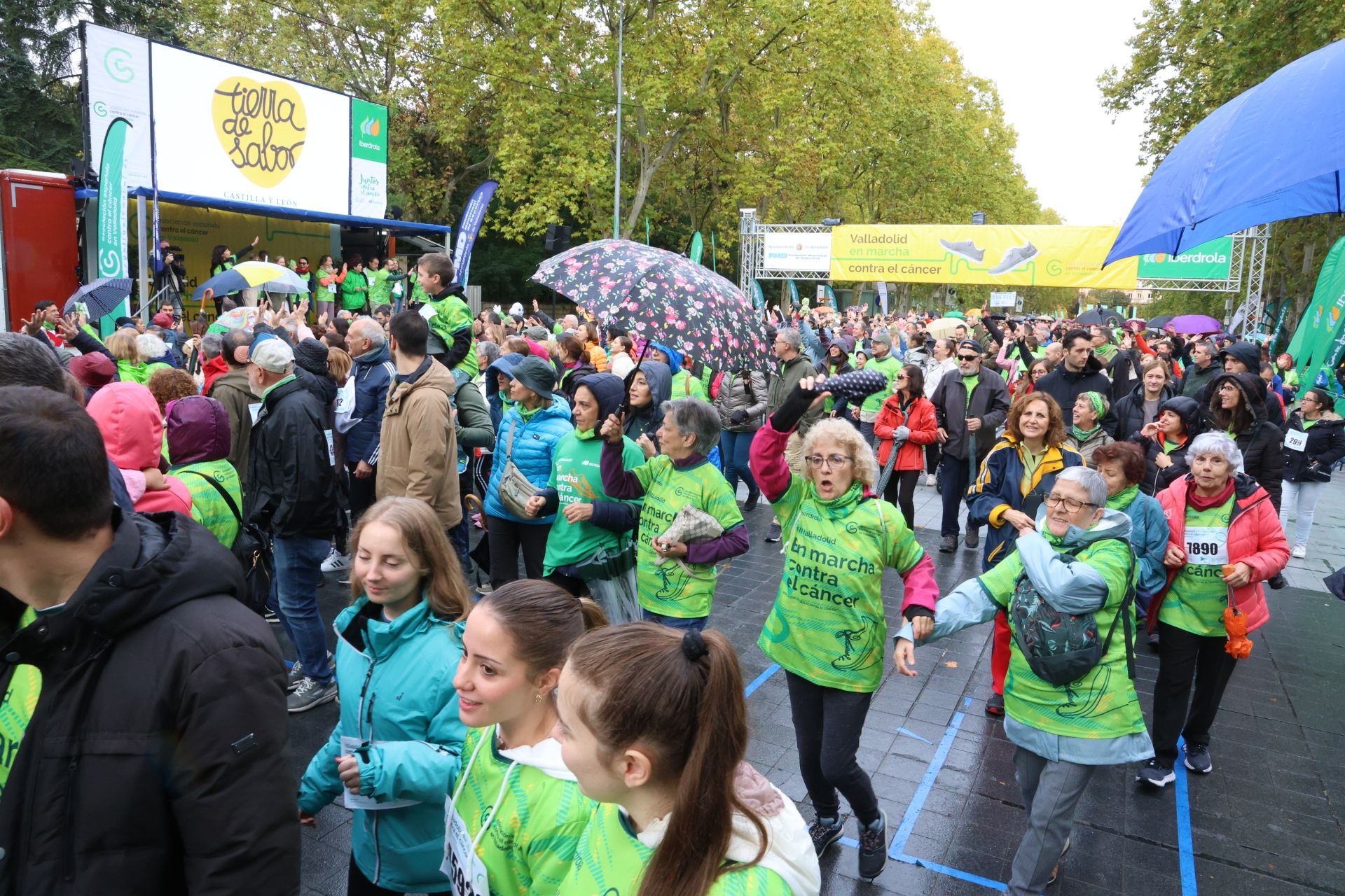 Todas las imágenes de la XIII Marcha contra el cáncer en Valladolid (2/3)