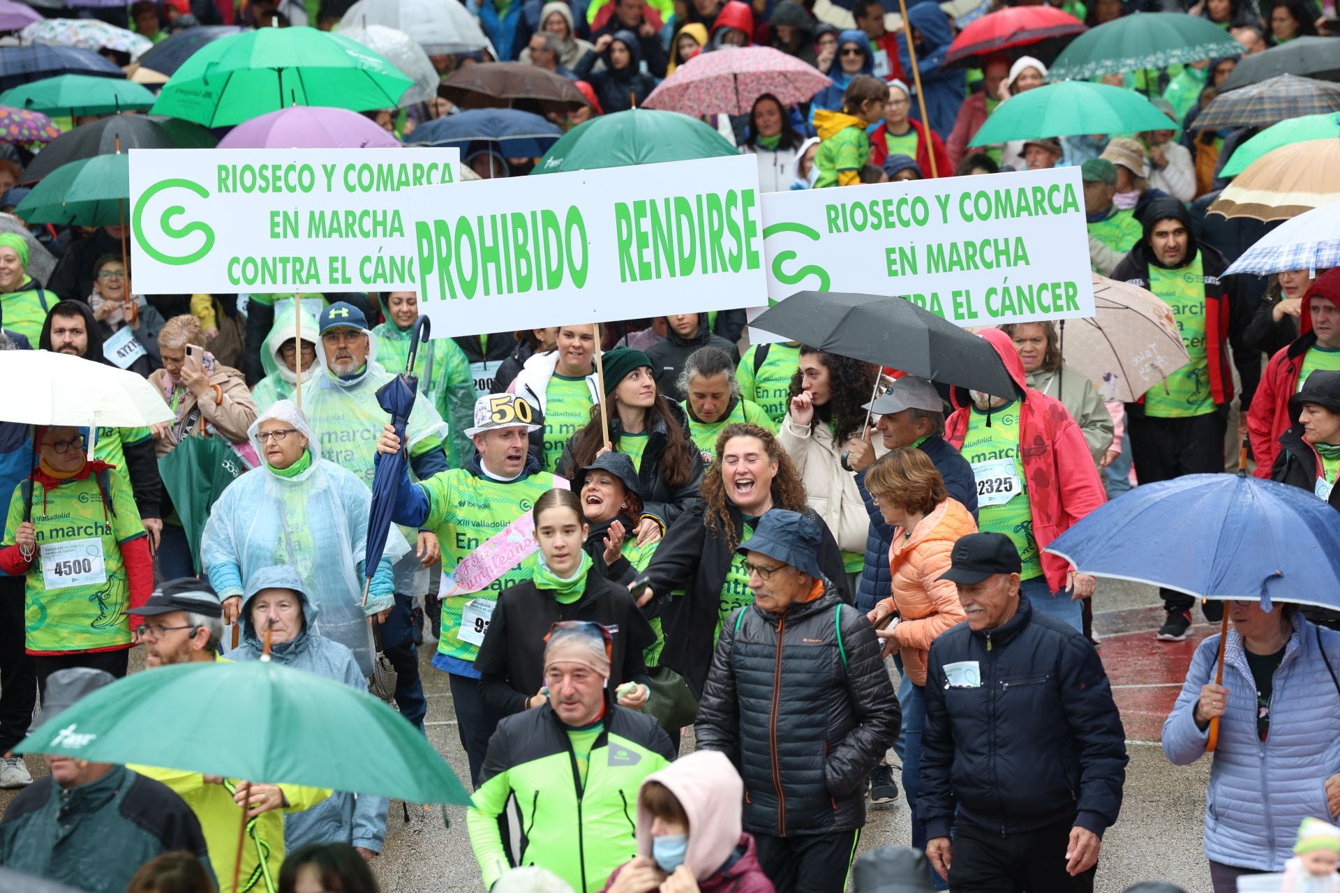 Todas las imágenes de la XIII Marcha contra el cáncer en Valladolid (3/3)