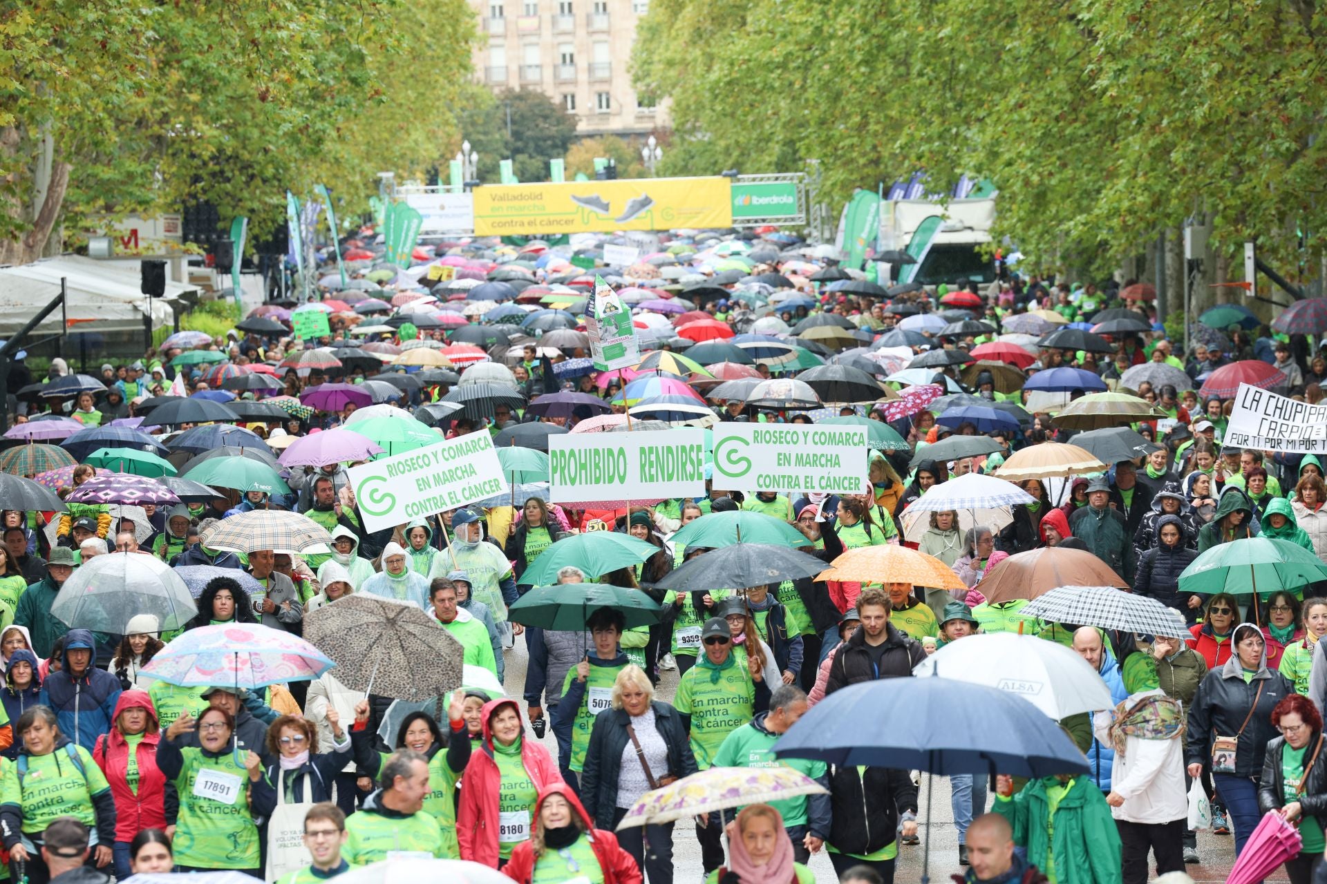 Todas las imágenes de la XIII Marcha contra el cáncer en Valladolid (3/3)