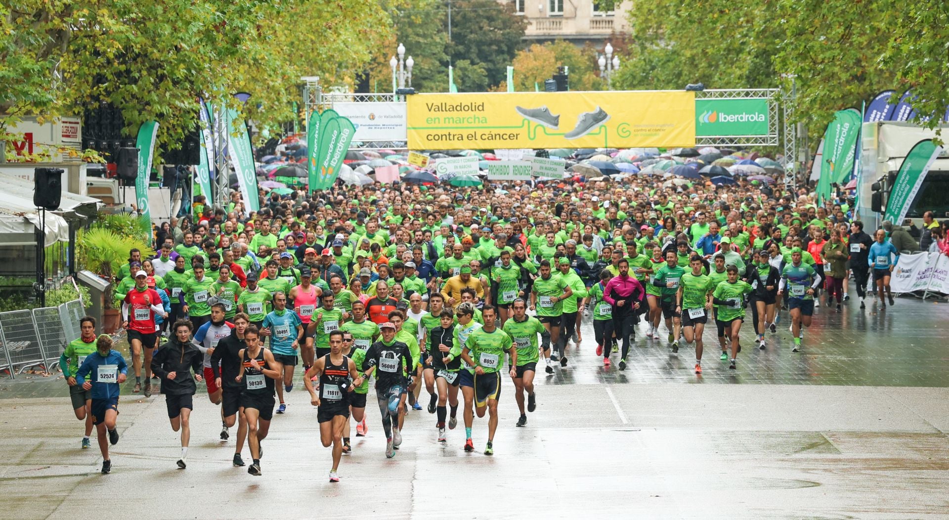 Todas las imágenes de la XIII Marcha contra el cáncer en Valladolid (3/3)